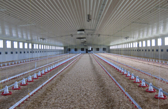 Poultry houses - WOLF Systembau