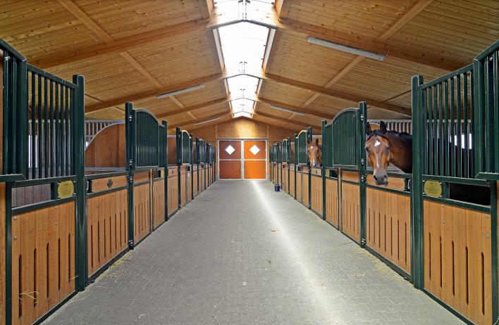 Horse stables, Riding facilities WOLF System