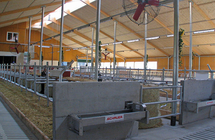 Fertigställe - Rinderställe - WOLF System