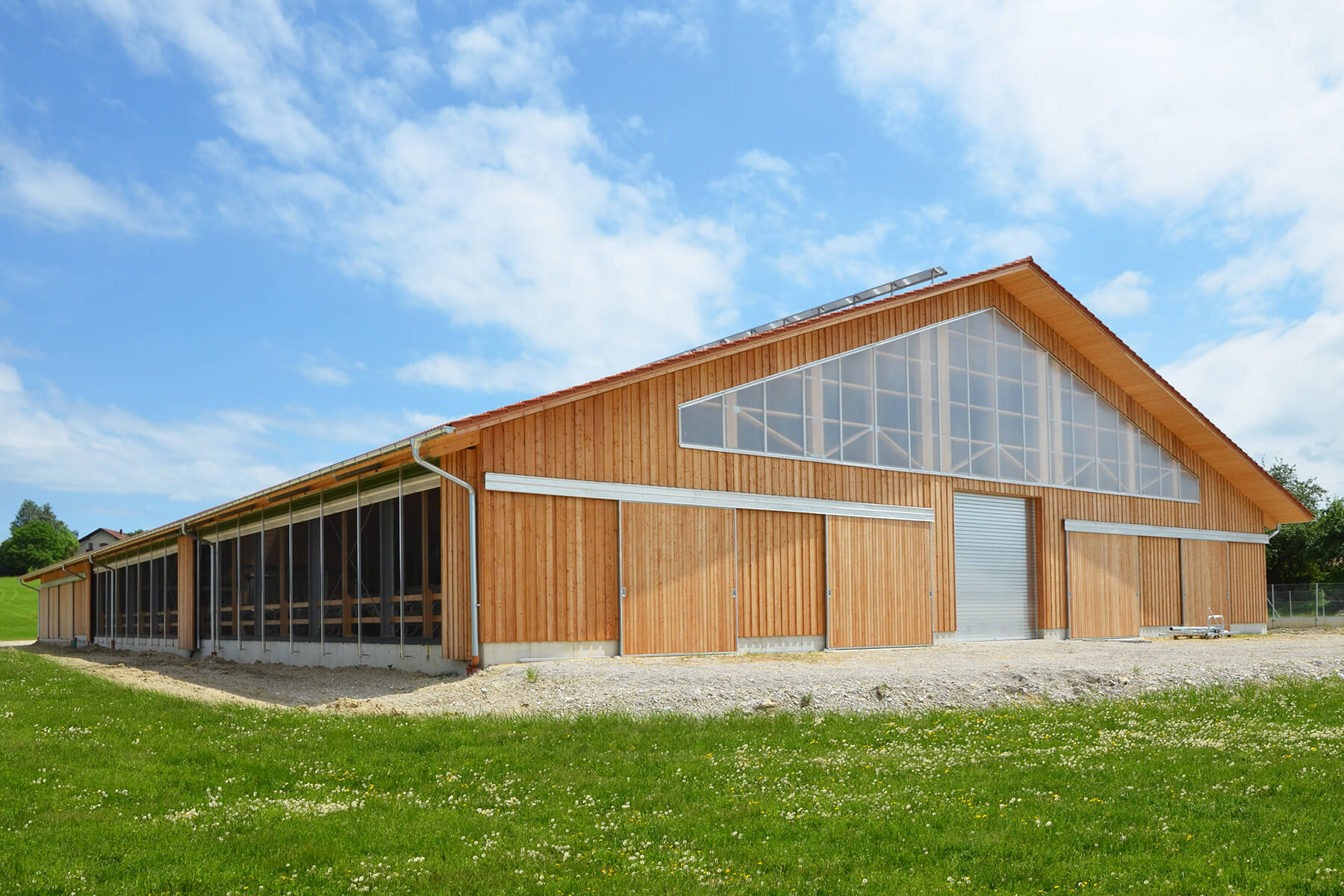 Cattle Barns