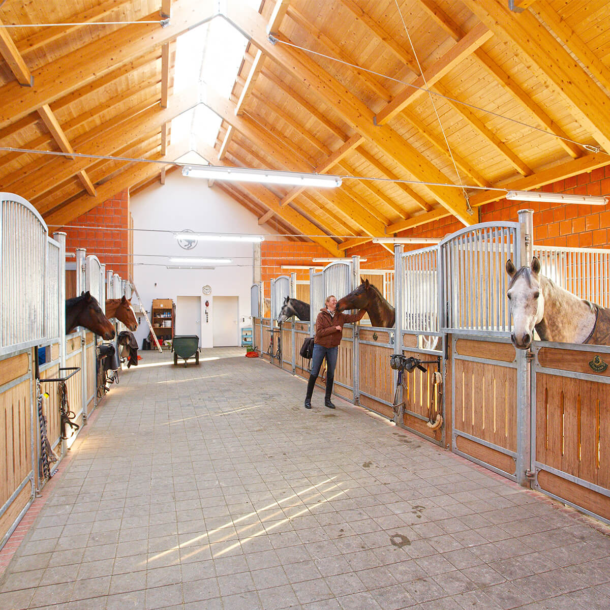 Agricultural Construction Riding Arena Cattle Barns Machinery